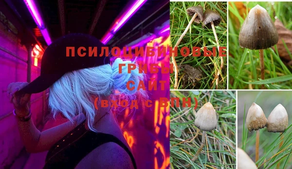 герыч Верея