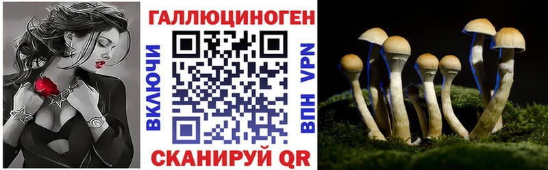 blacksprut ТОР  Ершов  Псилоцибиновые грибы мицелий 